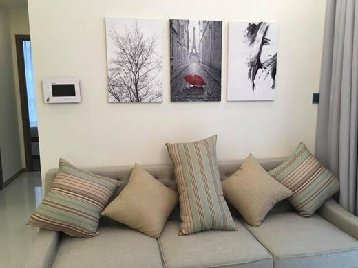 partment for rent in Binh Thanh district BT105P2586 (3)